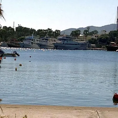 Olympia 2*
